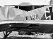 Junkers J.1 138-17 (0776-134) camouflage detail 1